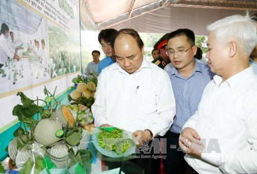 Nông nghiệp công nghệ cao sẽ có gói tín dụng 100.000 tỷ đồng ảnh 1